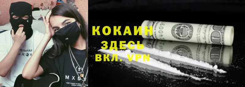 магазин    Абаза  Cocaine Fish Scale 